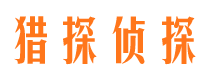 桥东市侦探公司